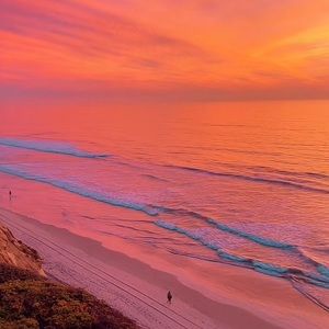 Meet your Posher, Ella